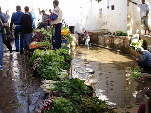 ORAN 10 2005 124 CHRYSTEL LE MARCHE ET SA SOURCE